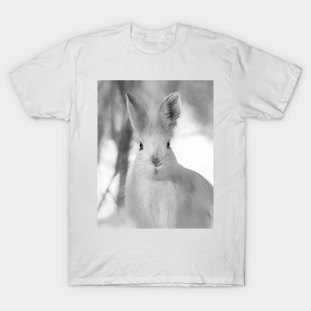 Snowshoe hare T-Shirt by Jim Cumming